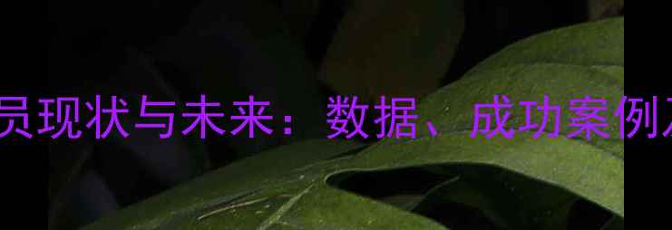 图片 中国留洋球员现状与未来：数据、成功案例及发展建议1