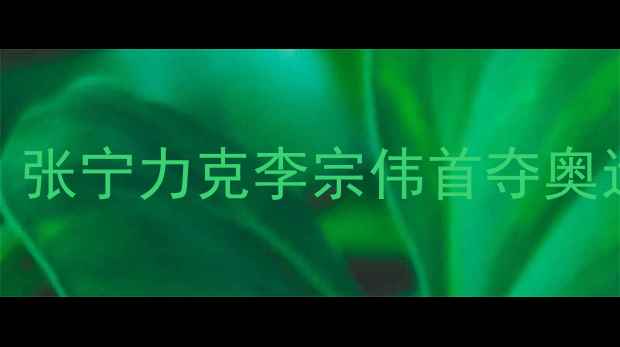 图片 中国羽毛球公开赛男单决赛：张宁力克李宗伟首夺奥运金牌，国羽新周期再创辉煌