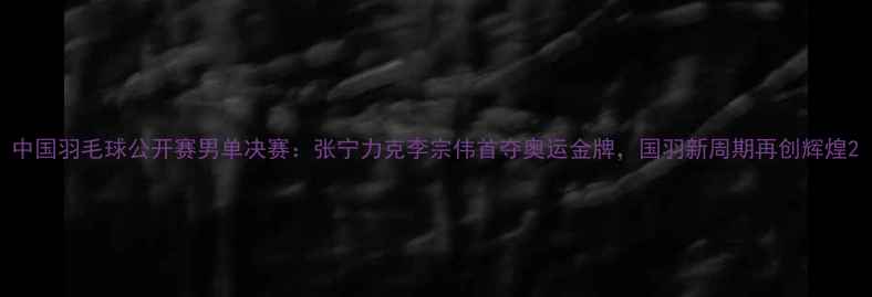 图片 中国羽毛球公开赛男单决赛：张宁力克李宗伟首夺奥运金牌，国羽新周期再创辉煌2
