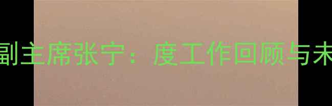 图片 中国羽毛球协会副主席张宁：度工作回顾与未来三年发展目标