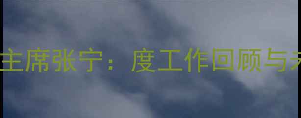 图片 中国羽毛球协会副主席张宁：度工作回顾与未来三年发展目标1