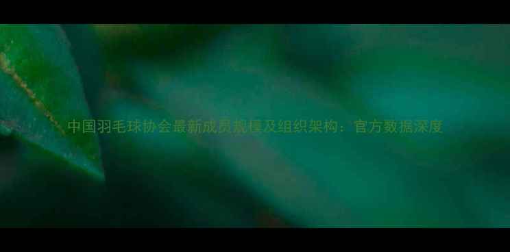 图片 中国羽毛球协会最新成员规模及组织架构：官方数据深度