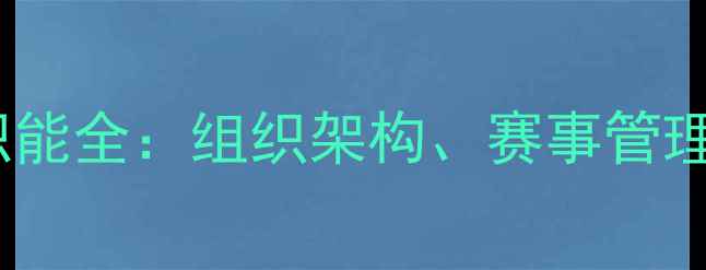 图片 中国羽毛球协会职责与职能全：组织架构、赛事管理、人才培养与未来发展1