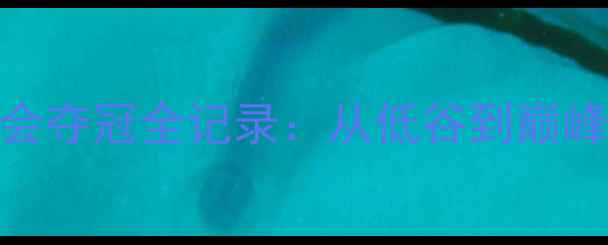 图片 中国羽毛球团队巴黎奥运会夺冠全记录：从低谷到巅峰的逆袭之路，热血沸腾！