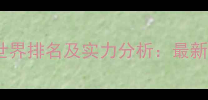 图片 中国羽毛球男队世界排名及实力分析：最新动态与未来展望1