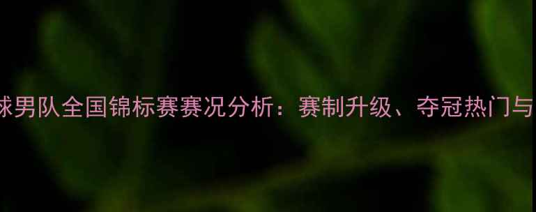 图片 中国羽毛球男队全国锦标赛赛况分析：赛制升级、夺冠热门与关键技术2