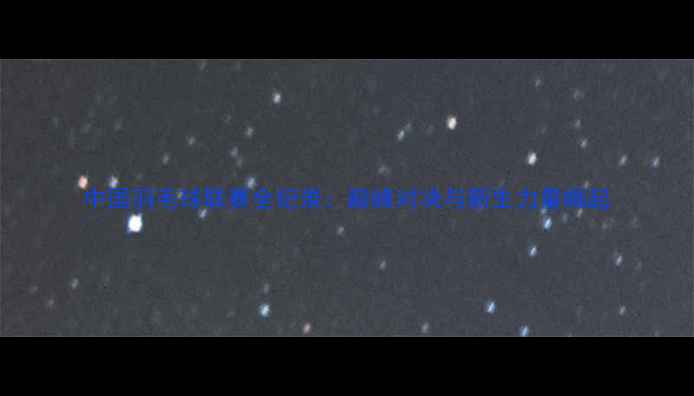 图片 中国羽毛球联赛全纪录：巅峰对决与新生力量崛起