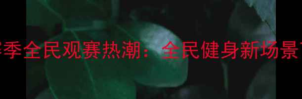 图片 中国羽毛球联赛赛季全民观赛热潮：全民健身新场景下的体育文化盛宴