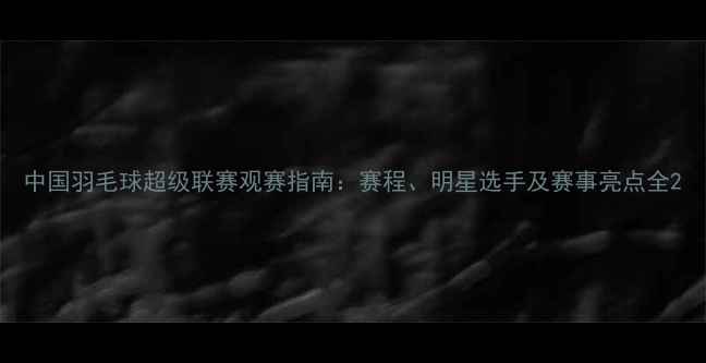 图片 中国羽毛球超级联赛观赛指南：赛程、明星选手及赛事亮点全2