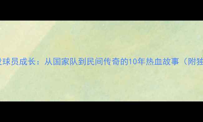 图片 中国羽毛球退役球员成长：从国家队到民间传奇的10年热血故事（附独家训练手册）2