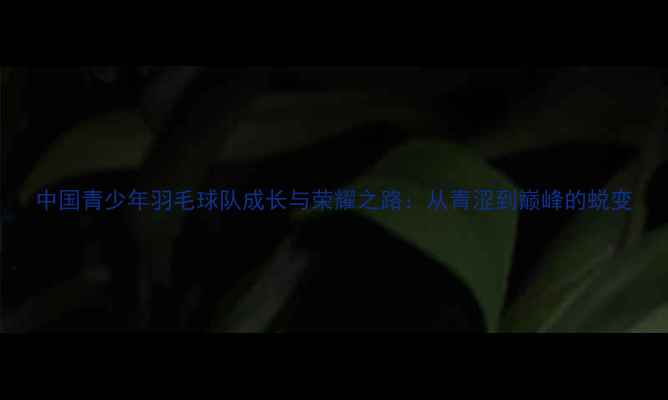 图片 中国青少年羽毛球队成长与荣耀之路：从青涩到巅峰的蜕变