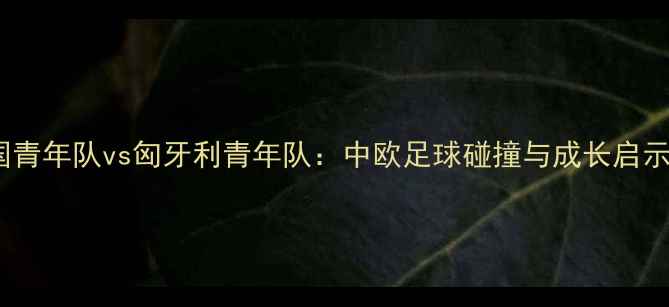 图片 中国青年队vs匈牙利青年队：中欧足球碰撞与成长启示录1