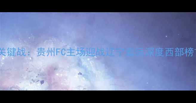 图片 中超争冠关键战：贵州FC主场迎战辽宁宏运深度西部榜首保卫战1