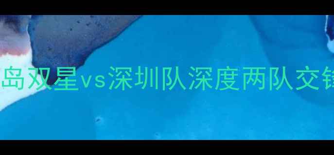 图片 中超焦点战：青岛双星vs深圳队深度两队交锋史与战术博弈1