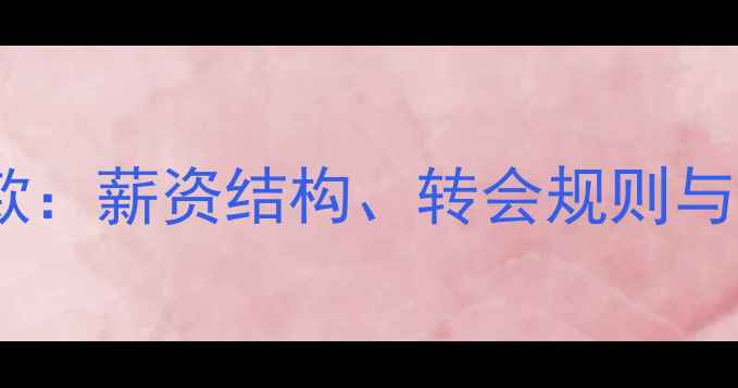 图片 中超球员合同关键条款：薪资结构、转会规则与商业价值分配全指南1