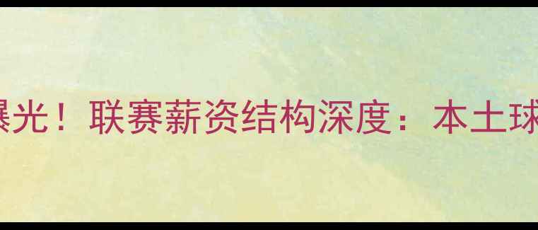 图片 中超球员平均年薪曝光！联赛薪资结构深度：本土球员VS外援收入对比2