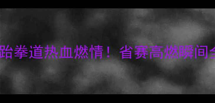 图片 主辽宁跆拳道热血燃情！省赛高燃瞬间全记录2