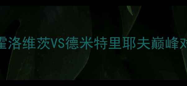 图片 乌克兰职业拳击联赛：霍洛维茨VS德米特里耶夫巅峰对决，热血回归震撼全球