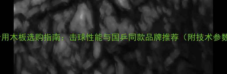 图片 乒乓球专用木板选购指南：击球性能与国乒同款品牌推荐（附技术参数对比）1