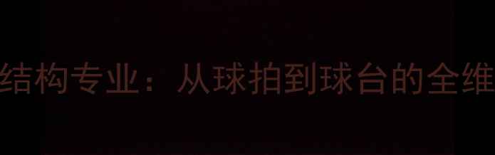 图片 乒乓球器材结构专业：从球拍到球台的全维度技术拆解