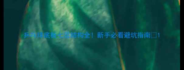 图片 乒乓球底板七层结构全！新手必看避坑指南🏓1