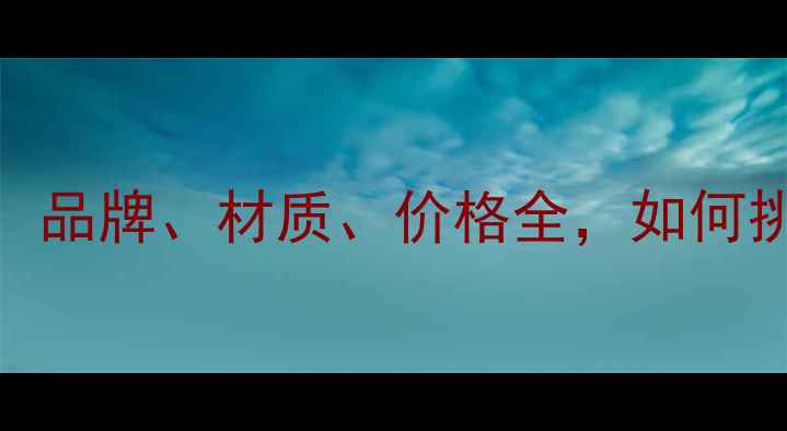 图片 乒乓球牌子选购指南：品牌、材质、价格全，如何挑选最适合你的球拍？