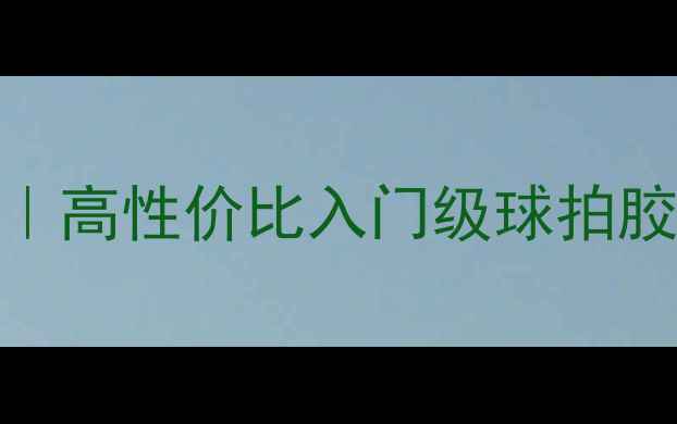 图片 乒乓球胶皮选购全攻略｜高性价比入门级球拍胶皮推荐（附避坑指南）