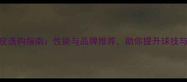 图片 乒乓球胶皮选购指南：性能与品牌推荐，助你提升球技与竞技表现