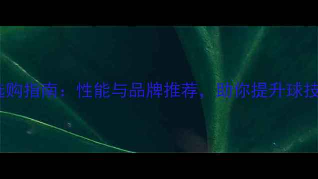 图片 乒乓球胶皮选购指南：性能与品牌推荐，助你提升球技与竞技表现2