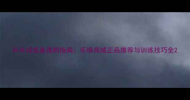 图片 乒乓球装备选购指南：乐模商城正品推荐与训练技巧全2