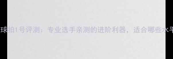 图片 亚狮龙羽毛球拍1号评测：专业选手亲测的进阶利器，适合哪些水平的球友？2