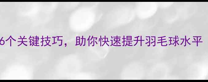 图片 从入门到精通：6个关键技巧，助你快速提升羽毛球水平（附训练计划）2