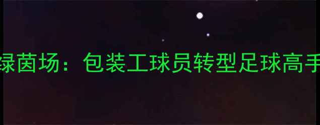 图片 从流水线到绿茵场：包装工球员转型足球高手的逆袭之路