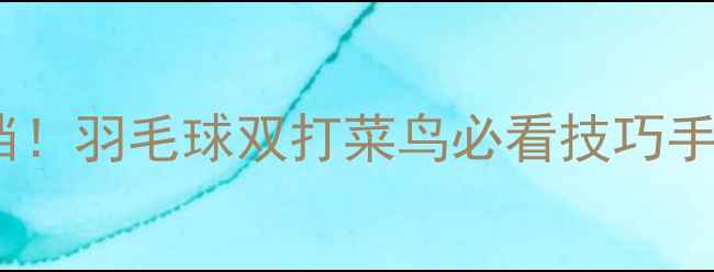 图片 从零开始到默契搭档！羽毛球双打菜鸟必看技巧手册（附训练计划）1