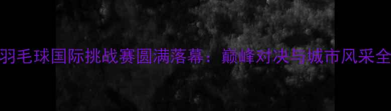 图片 佛山羽毛球国际挑战赛圆满落幕：巅峰对决与城市风采全记录
