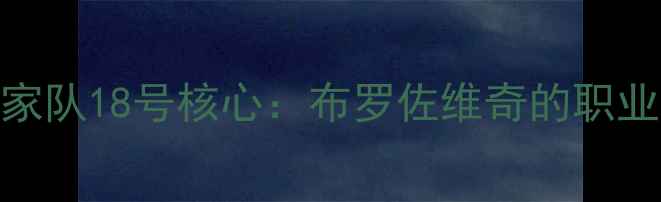 图片 克罗地亚国家队18号核心：布罗佐维奇的职业轨迹与技术