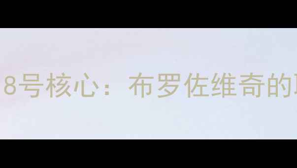 图片 克罗地亚国家队18号核心：布罗佐维奇的职业轨迹与技术1