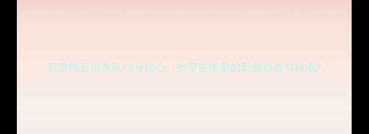 图片 克罗地亚国家队18号核心：布罗佐维奇的职业轨迹与技术2