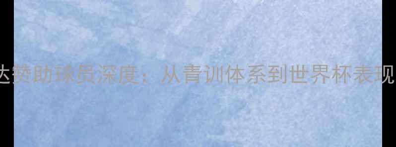 图片 克罗地亚国家队维达赞助球员深度：从青训体系到世界杯表现的全周期观察（-）