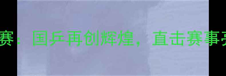 图片 全国乒乓球锦标赛：国乒再创辉煌，直击赛事亮点与选手风采2