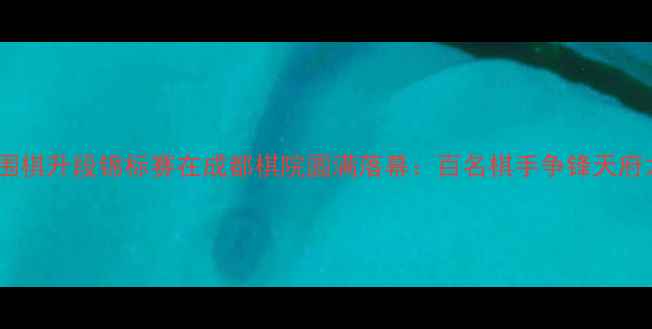 图片 全国围棋升段锦标赛在成都棋院圆满落幕：百名棋手争锋天府之国1