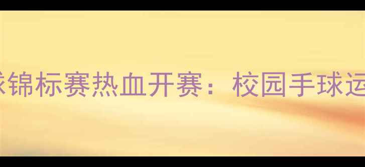 图片 全国小学生手球锦标赛热血开赛：校园手球运动发展新篇章1