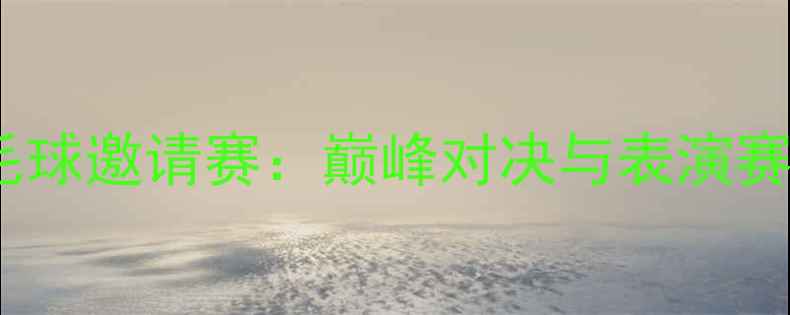 图片 全国羽毛球邀请赛：巅峰对决与表演赛亮点全1