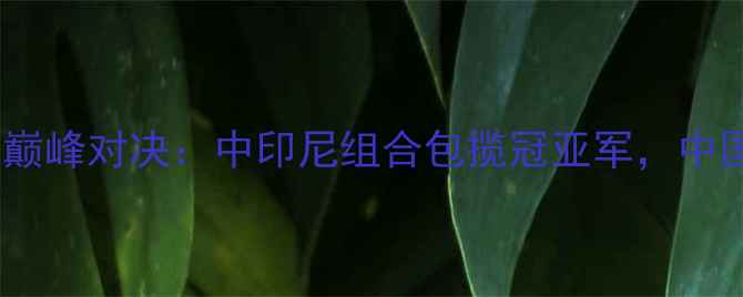 图片 全英羽毛球公开赛混双巅峰对决：中印尼组合包揽冠亚军，中国组合创造历史性突破2