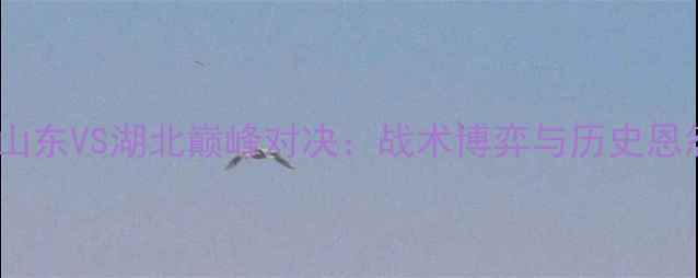 图片 全运会山东VS湖北巅峰对决：战术博弈与历史恩怨深度1