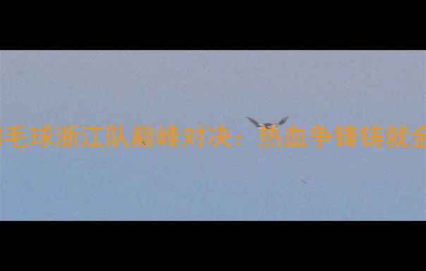 图片 全运会羽毛球浙江队巅峰对决：热血争锋铸就金牌传奇2