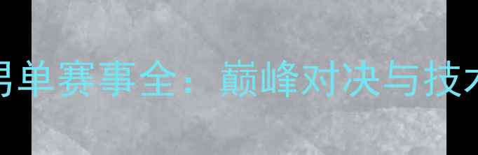 图片 全运会羽毛球男单赛事全：巅峰对决与技术亮点深度剖析