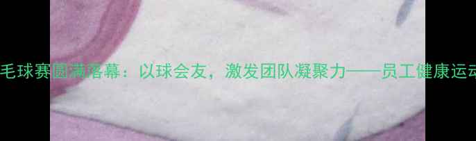 图片 公司羽毛球赛圆满落幕：以球会友，激发团队凝聚力——员工健康运动指南1