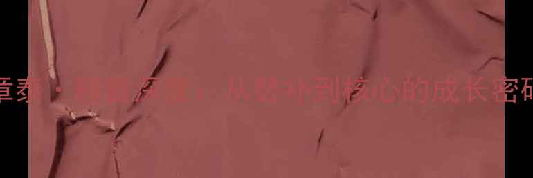 图片 公牛10号德章泰·穆雷深度：从替补到核心的成长密码与数据透视