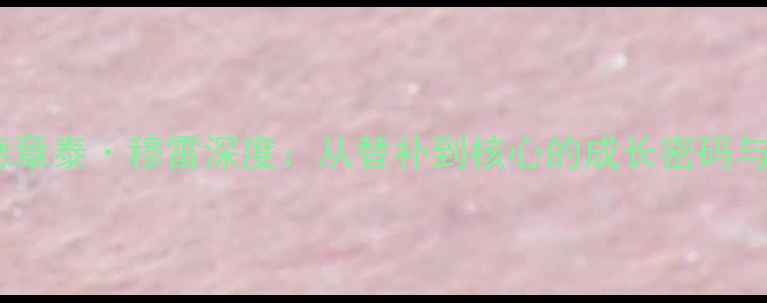 图片 公牛10号德章泰·穆雷深度：从替补到核心的成长密码与数据透视2